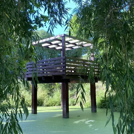 Da Silva Surf One Lourinhã