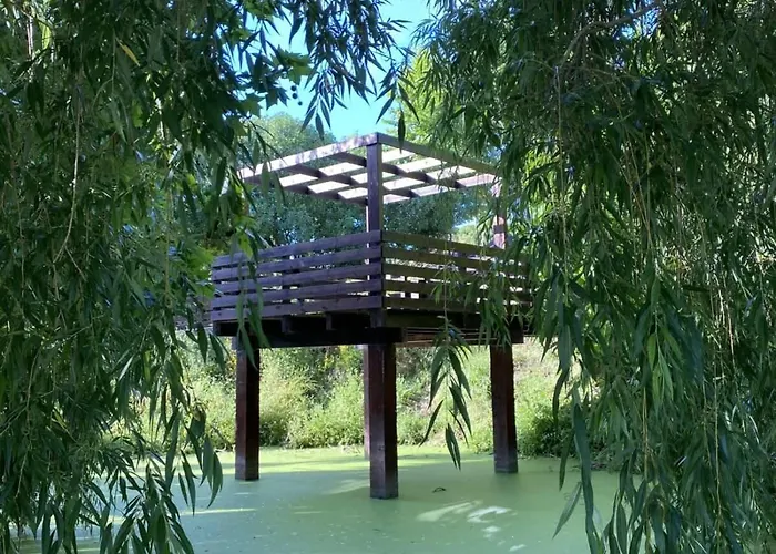 Da Silva Surf One לוריניה